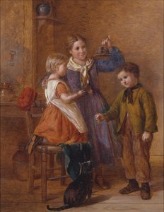 Expectativa de William Hemsley